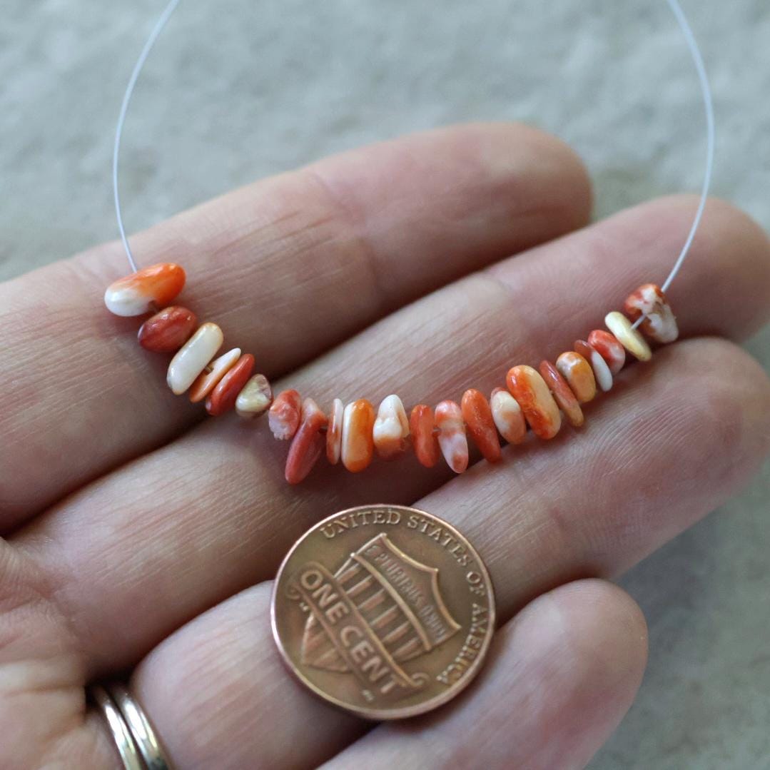 Natural Spiny Oyster Shell Chip Beads Smooth 4-7mm 2” Natural Shell Accent Beads for DIY Jewelry Making Earrings Pendants