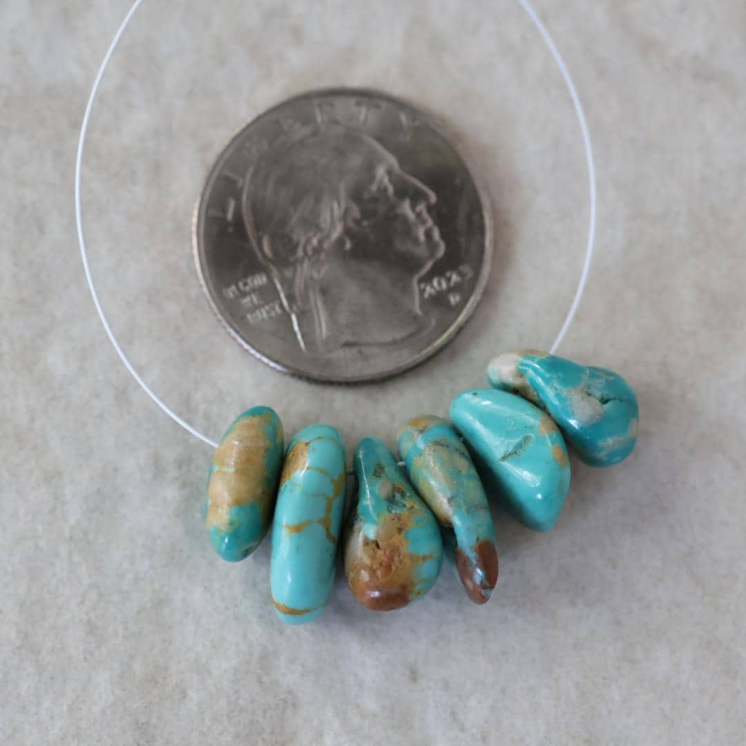 Rare Fox Nevada Turquoise Chip Beads Petal Nuggets Smooth 12-14mm 6 PCs Gemstone Beads DIY Jewelry Making December Birthstone
