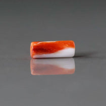 NATURAL SHELL BEADS
