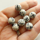 10mm Dalmatian Jasper Beads - Smooth Round Natural Gemstone