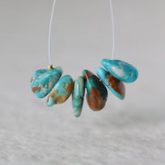Rare Fox Nevada Turquoise Chip Beads Petal Nuggets Smooth 12-14mm 6 PCs Gemstone Beads DIY Jewelry Making December Birthstone