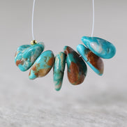 Rare Fox Nevada Turquoise Chip Beads Petal Nuggets Smooth 12-14mm 6 PCs Gemstone Beads DIY Jewelry Making December Birthstone