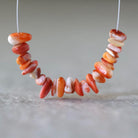 Natural Spiny Oyster Shell Chip Beads Smooth 4-7mm 2” Natural Shell Accent Beads for DIY Jewelry Making Earrings Pendants