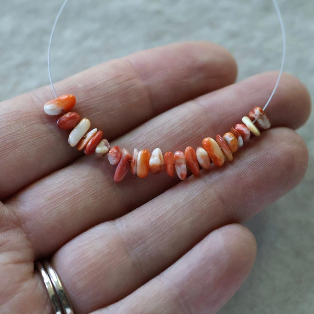 Natural Spiny Oyster Shell Chip Beads Smooth 4-7mm 2” Natural Shell Accent Beads for DIY Jewelry Making Earrings Pendants