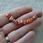 Natural Spiny Oyster Shell Chip Beads Smooth 4-7mm 2” Natural Shell Accent Beads for DIY Jewelry Making Earrings Pendants