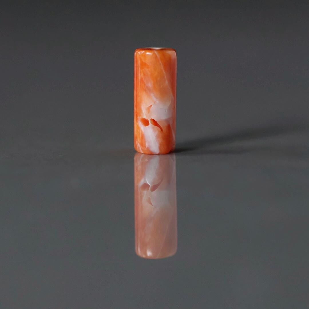 Natural Spiny Oyster Shell Tube Bead Smooth 5-6mm 1 Pc Natural Shell Accent Beads for DIY Jewelry Making Earrings Pendants