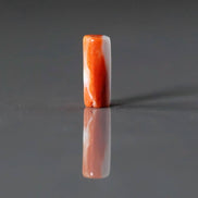 Natural Spiny Oyster Shell Tube Bead Smooth 5-6mm 1 Pc Natural Shell Accent Beads for DIY Jewelry Making Earrings Pendants