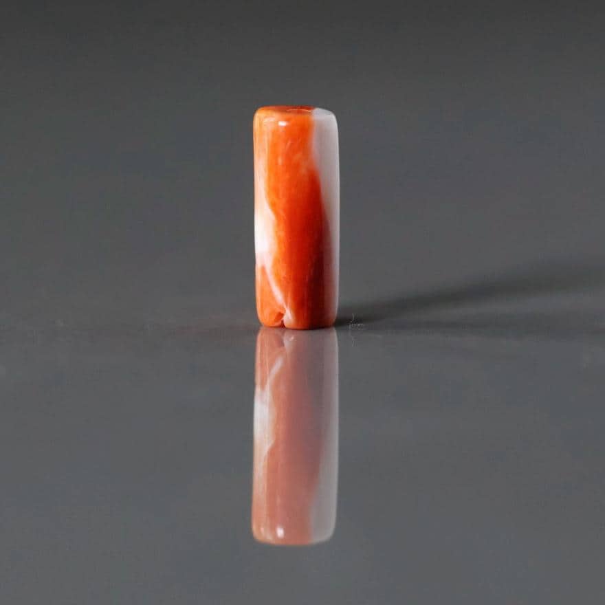 Natural Spiny Oyster Shell Tube Bead Smooth 5-6mm 1 Pc Natural Shell Accent Beads for DIY Jewelry Making Earrings Pendants