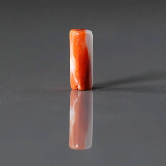 Natural Spiny Oyster Shell Tube Bead Smooth 5-6mm 1 Pc Natural Shell Accent Beads for DIY Jewelry Making Earrings Pendants