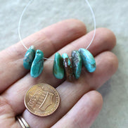 Rare Fox Nevada Turquoise Chip Beads Petal Nuggets Smooth 15-16mm 6 PCs Gemstone Beads DIY Jewelry Making December Birthstone